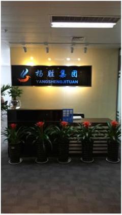 揚(yáng)勝集團(tuán) 擁抱“互聯(lián)網(wǎng)+”浪潮，以信息技術(shù)服務(wù)為企業(yè)發(fā)展助力護(hù)航